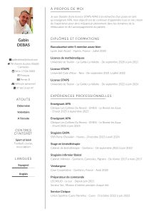 CV Gabin_Debas