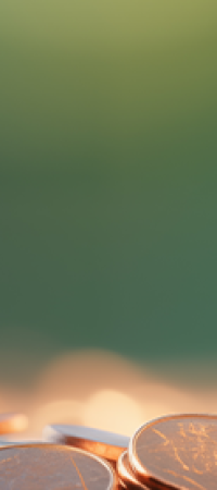 Entreprises de moins de 250 salariés