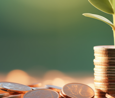 Entreprises de moins de 250 salariés