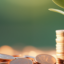 Entreprises de moins de 250 salariés