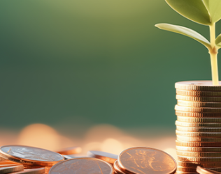 Entreprises de moins de 250 salariés