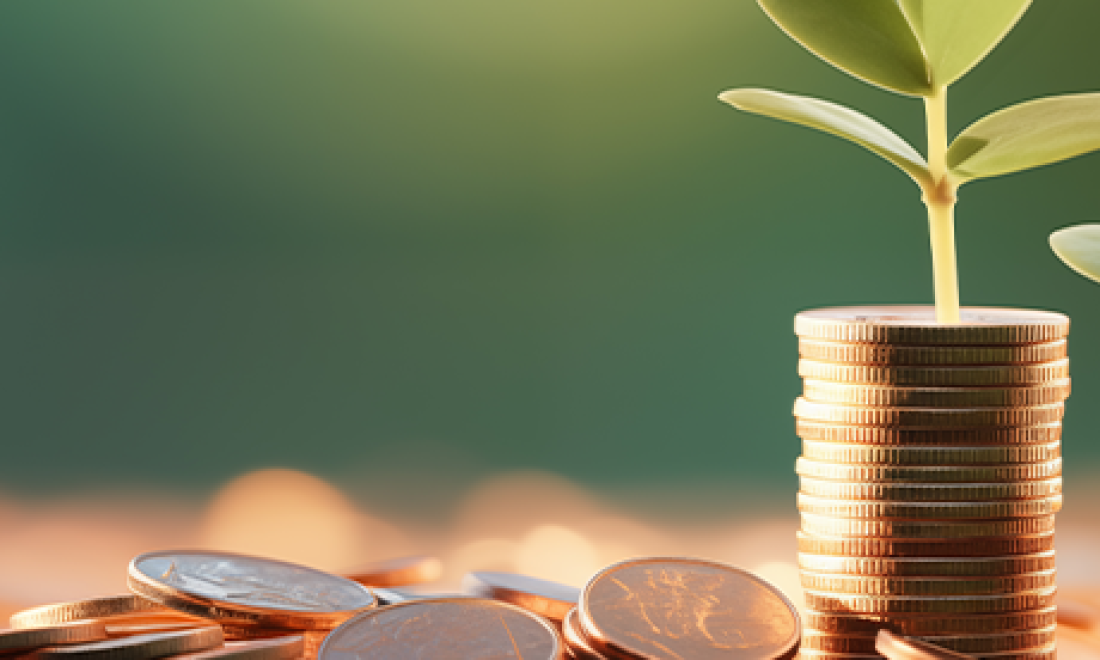 Entreprises de moins de 250 salariés